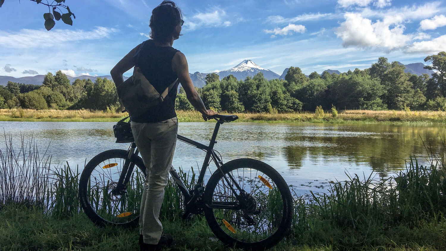 PlaceholderImage1302